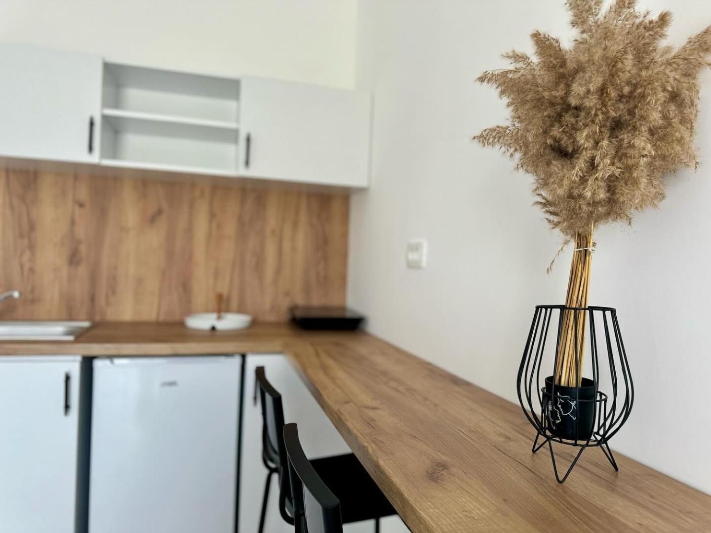 Apartmani Asovic 布德瓦 外观 照片